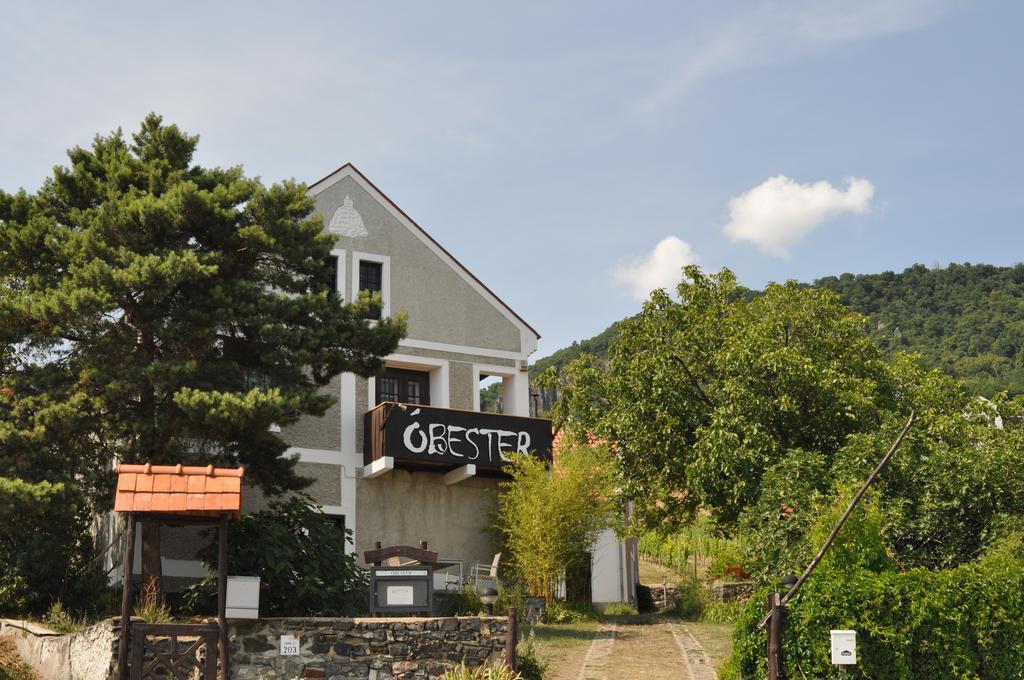 Obester Panzio Badacsonytomaj Exterior photo